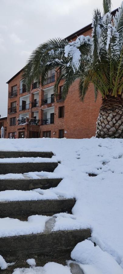 Arsaul Hotel New Athos Exterior foto